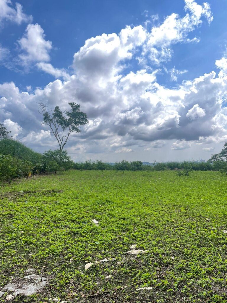 Panamá