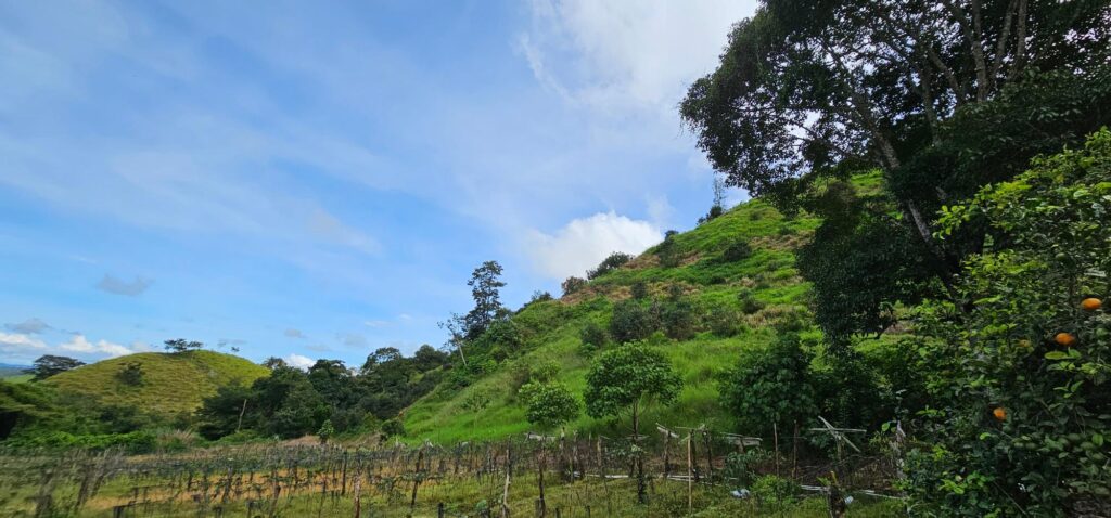 Panamá