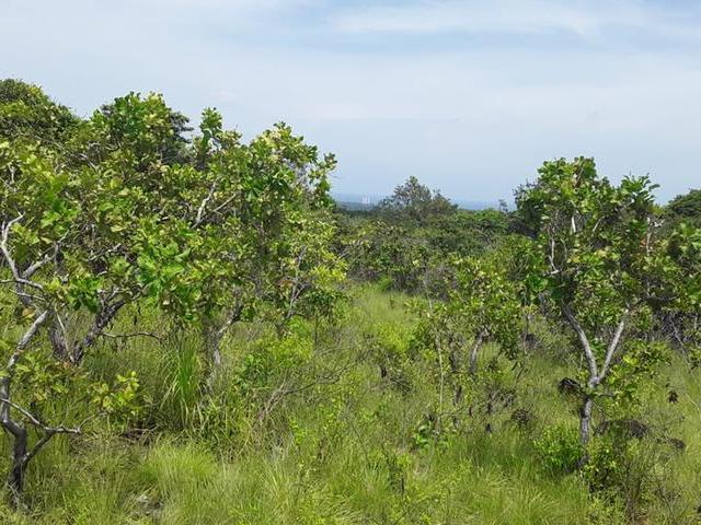 Panamá