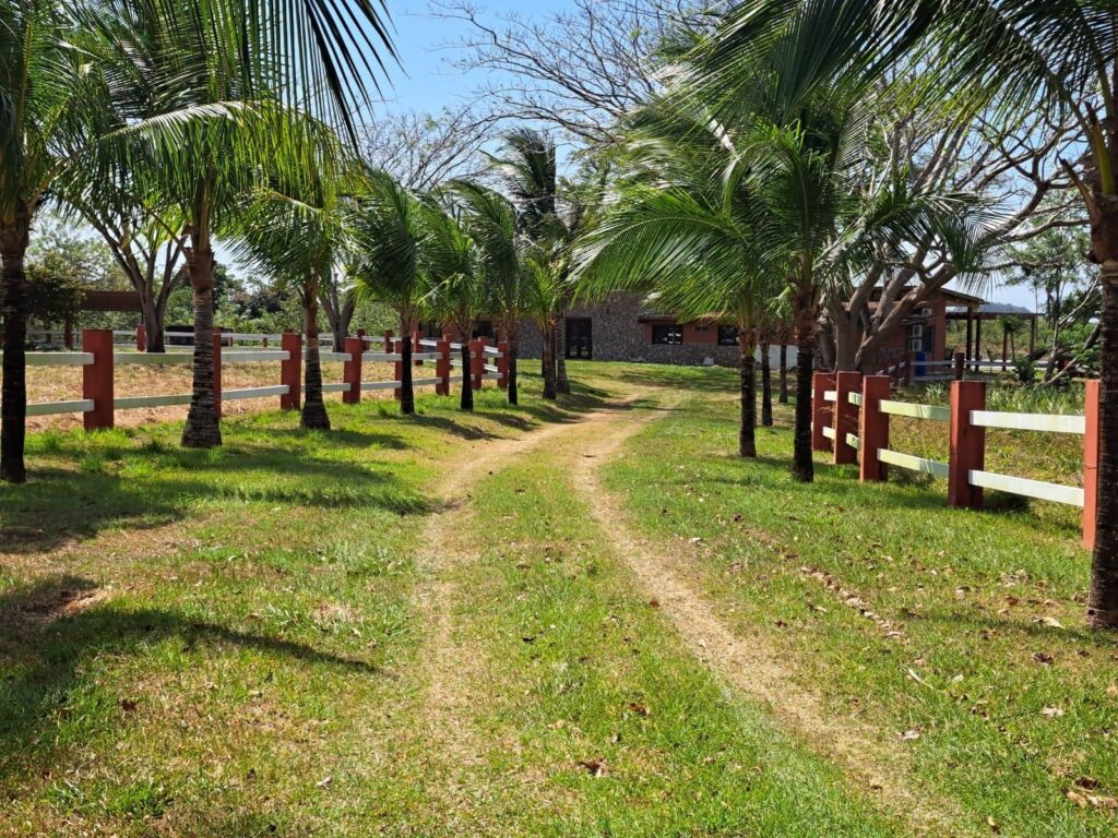 Finca En Venta