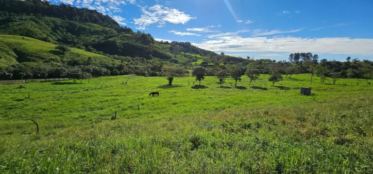 Finca en Cordillera Arriba