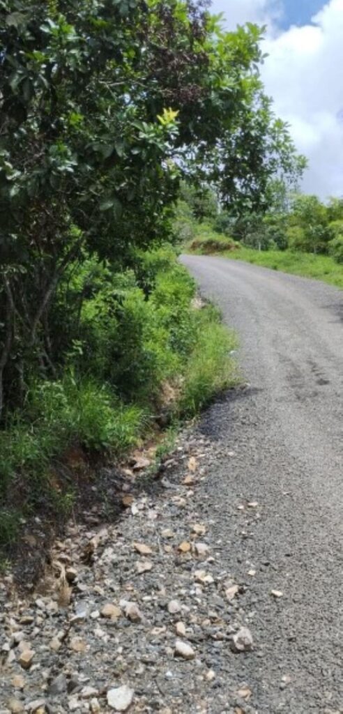 TERRENO EN PAJONAL PENONOME PARA EDIF CA