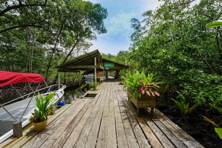 Sustainable Eco Jungle Lodge for sale