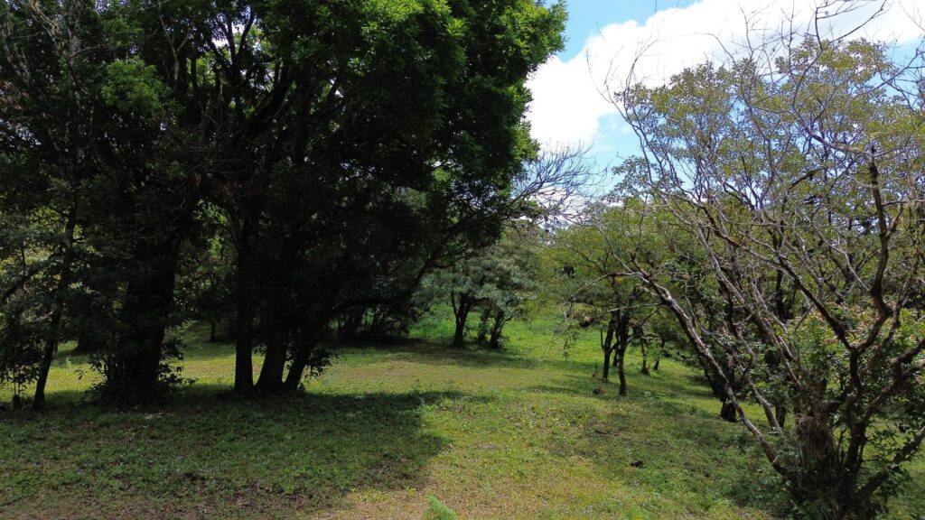 1867 sqm Lot for Sale in Alto Jaramillo