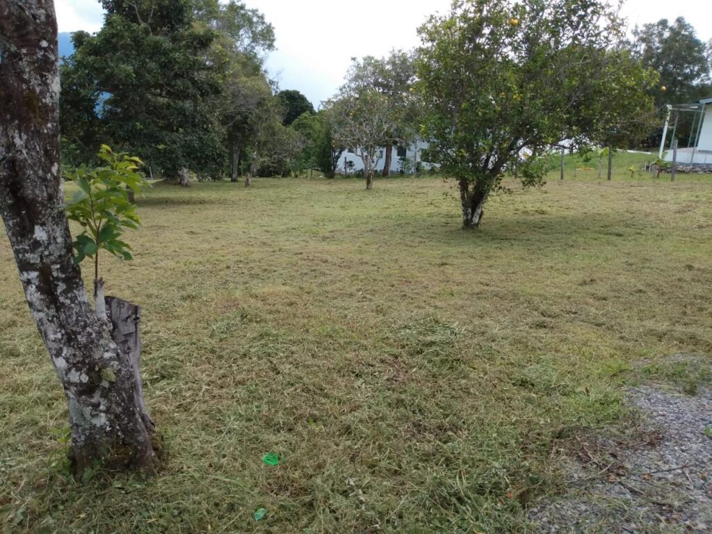 Terreno En Venta