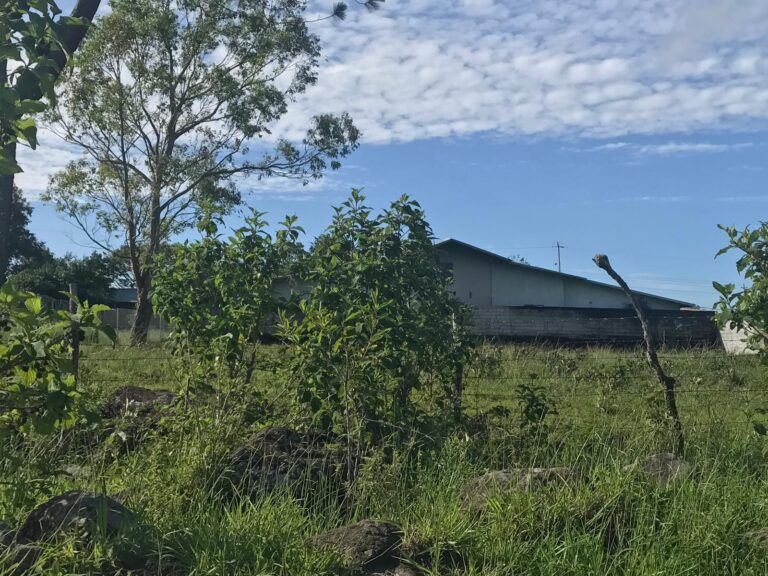 Flat lot in Volcan