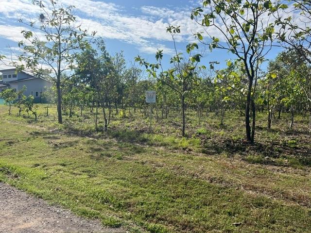 Lote con Vista al Mar en Boca Chica