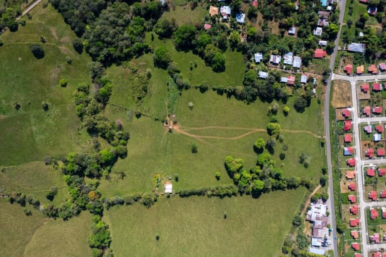 Propiedad de Cuatro Hectáreas en David