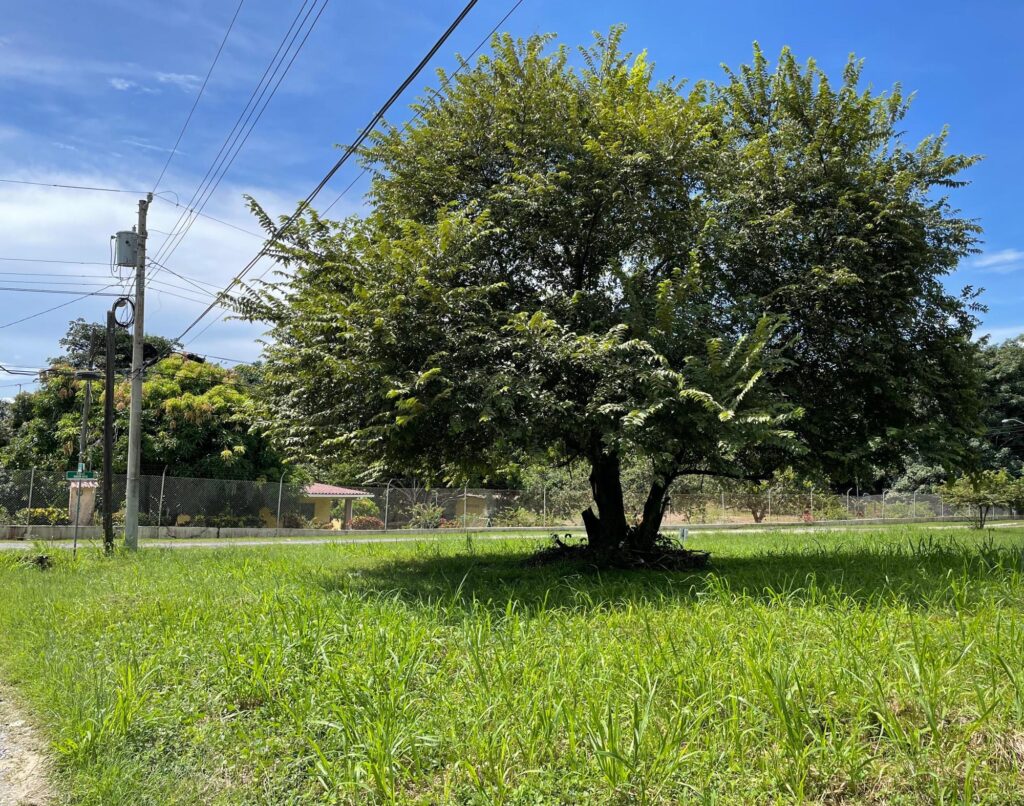 Panamá