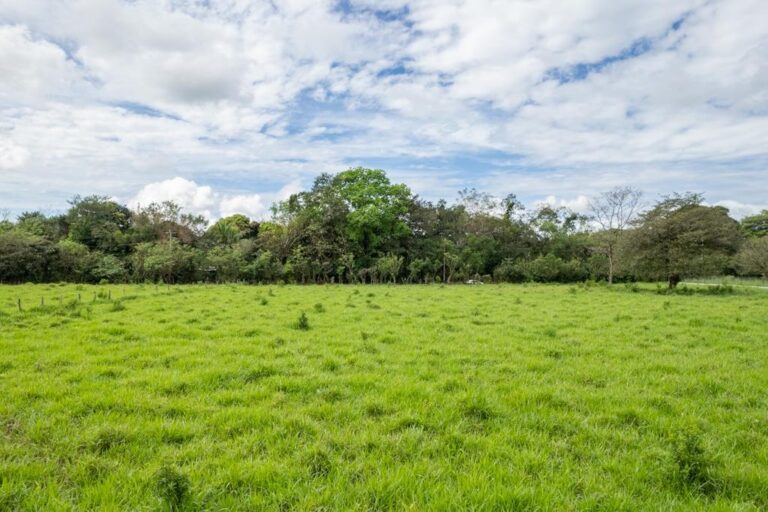 Panamá