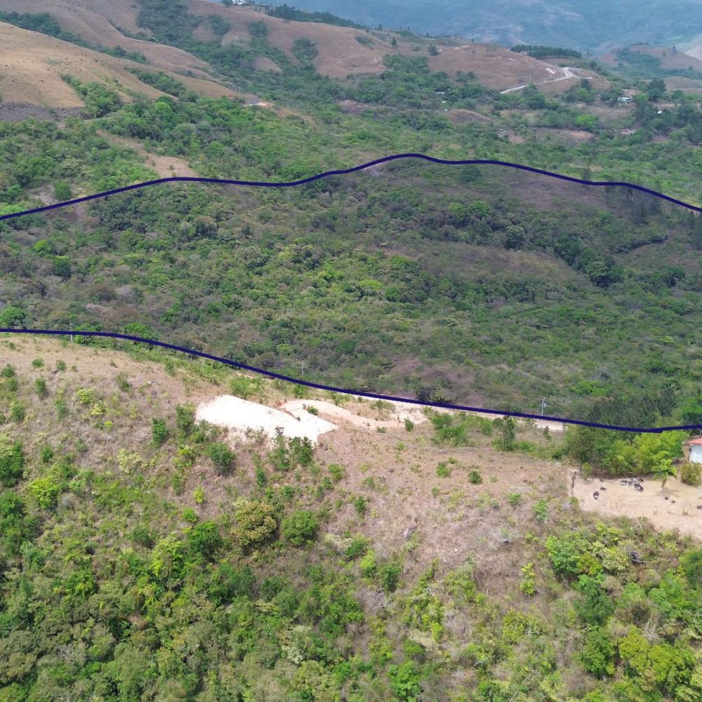 Doble lote en venta de 6.38 hectareas en Laguna de San Carlos