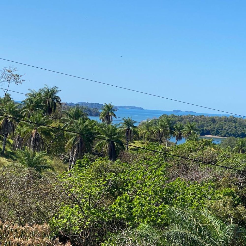 Exclusivo Terreno de Una Hectárea en Boca Chica Panamá