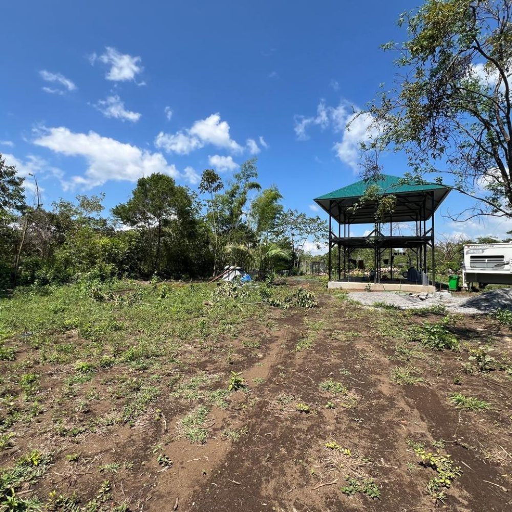 Finca-En-Venta-FINCA-EN-EL-HIGO-DE-COCHEA-David-Panama-7