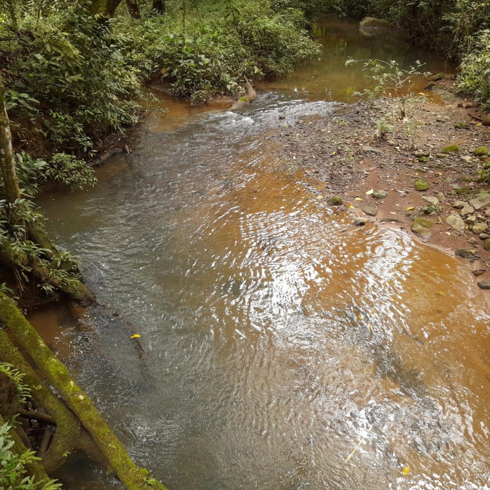 Finca-En-Venta-Finca-Boquete-Panama-13