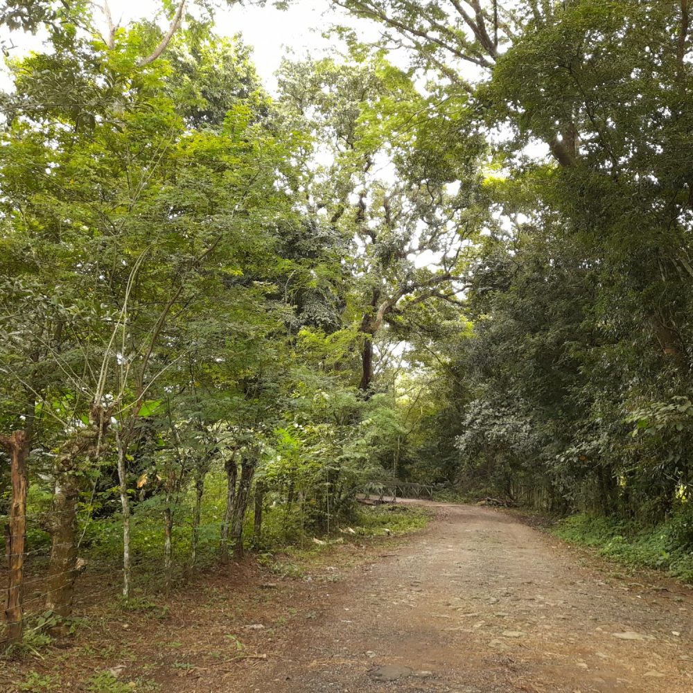 Finca-En-Venta-Finca-Boquete-Panama-7