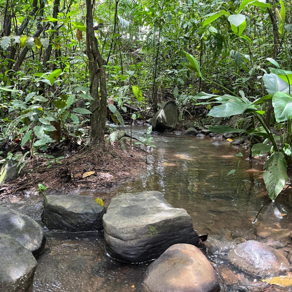 Panamá