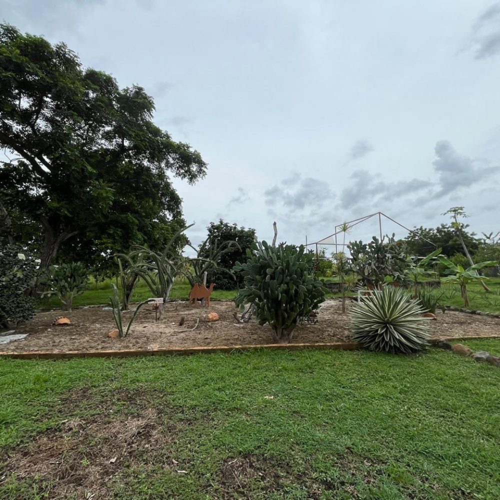 Finca-En-Venta-Lupita-Village-San-Carlos-San-Carlos-Panama-Oeste-Panama-34