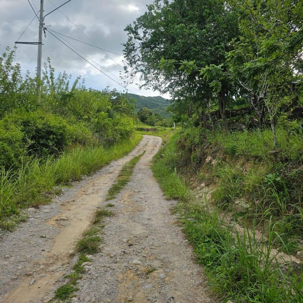 Finca-En-Venta-Venta-de-Finca-en-El-Harino-La-Pintada-El-Harino-Panama-11