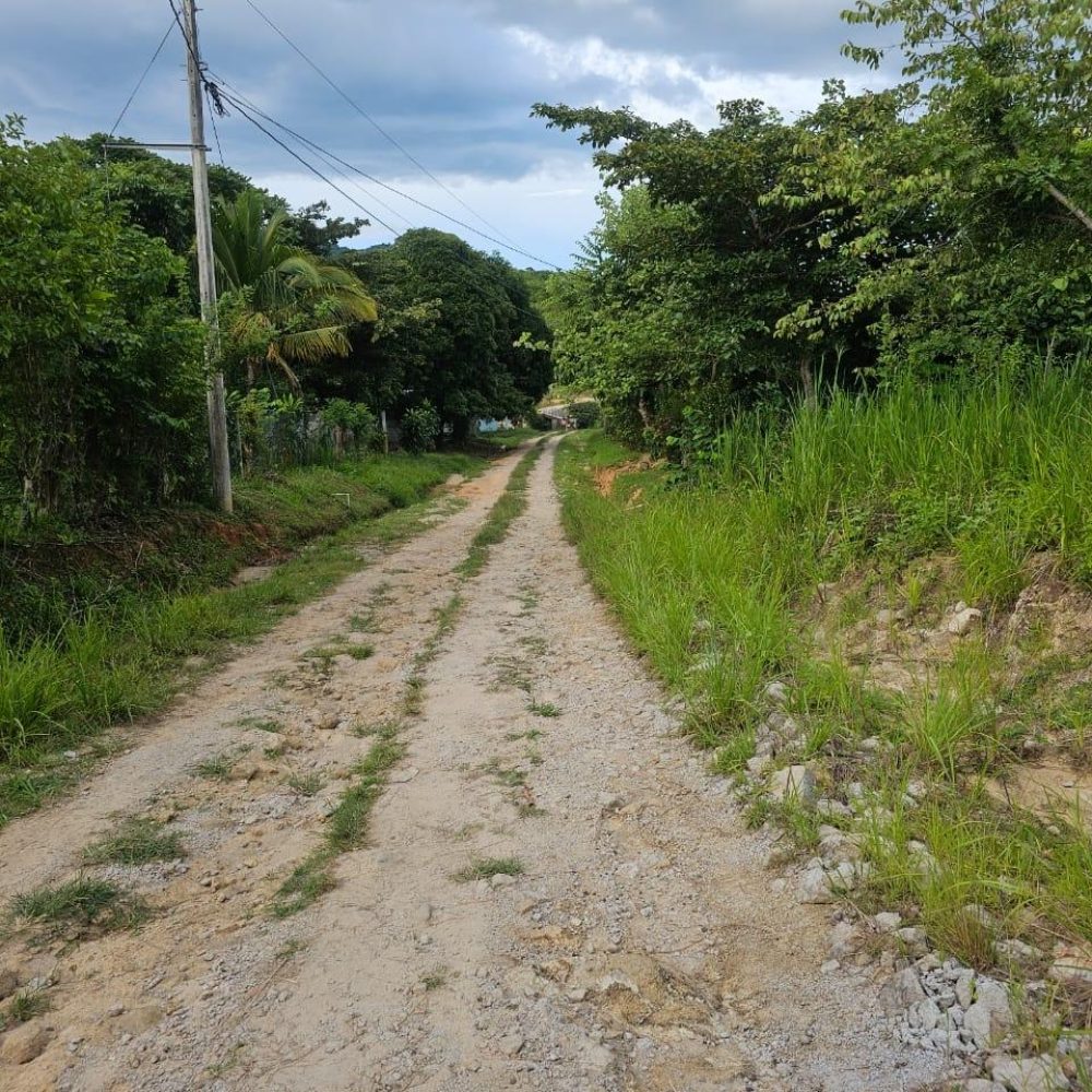 Finca-En-Venta-Venta-de-Finca-en-El-Harino-La-Pintada-El-Harino-Panama-12