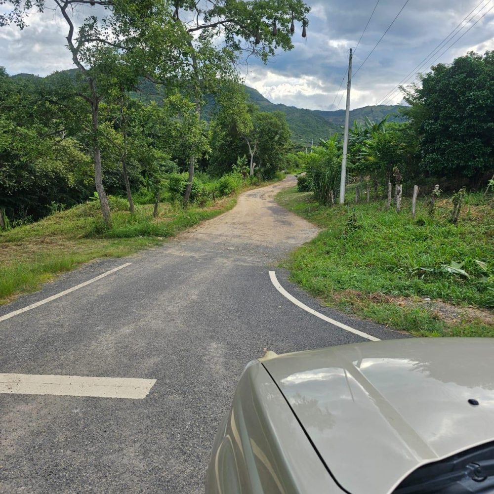 Finca-En-Venta-Venta-de-Finca-en-El-Harino-La-Pintada-El-Harino-Panama-15