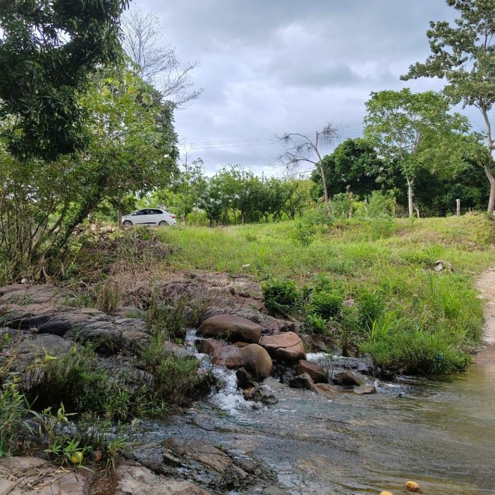 Finca-En-Venta-Venta-de-Finca-en-El-Harino-La-Pintada-El-Harino-Panama-19