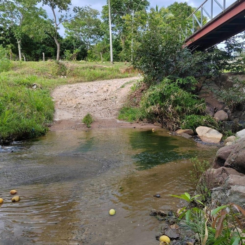 Finca-En-Venta-Venta-de-Finca-en-El-Harino-La-Pintada-El-Harino-Panama-20