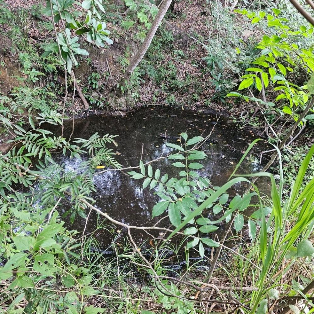 Finca-En-Venta-Venta-de-Finca-en-El-Harino-La-Pintada-El-Harino-Panama-8