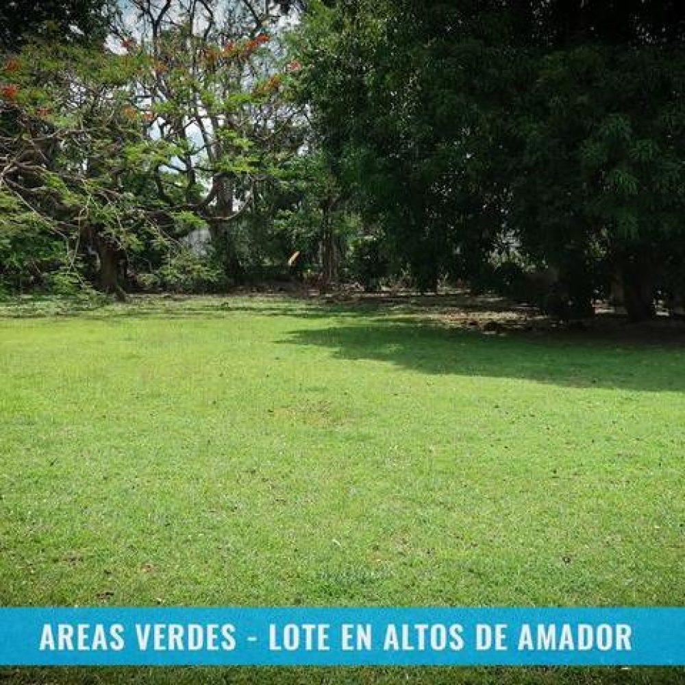 LOTE-EN-ALTOS-DE-AMADOR-CON-VIVIENDA-DE-DOS-NIVELES-11