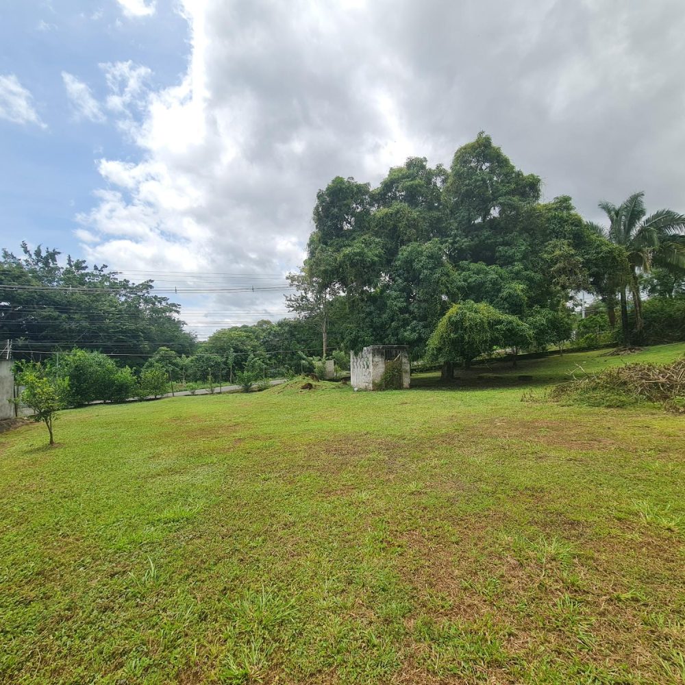 Terreno-En-Venta-Lote-99A-Chapala-Panama-10