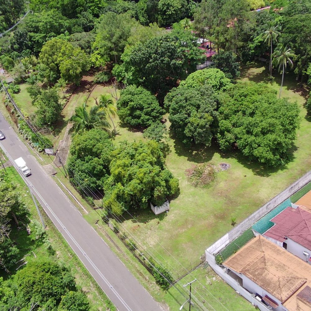 Terreno-En-Venta-Lote-99A-Chapala-Panama-12