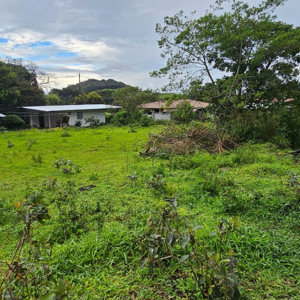 Terreno-En-Venta-Lote-Paso-Ancho-Volcan-Tierras-Altas-Chiriqui-Panama-6