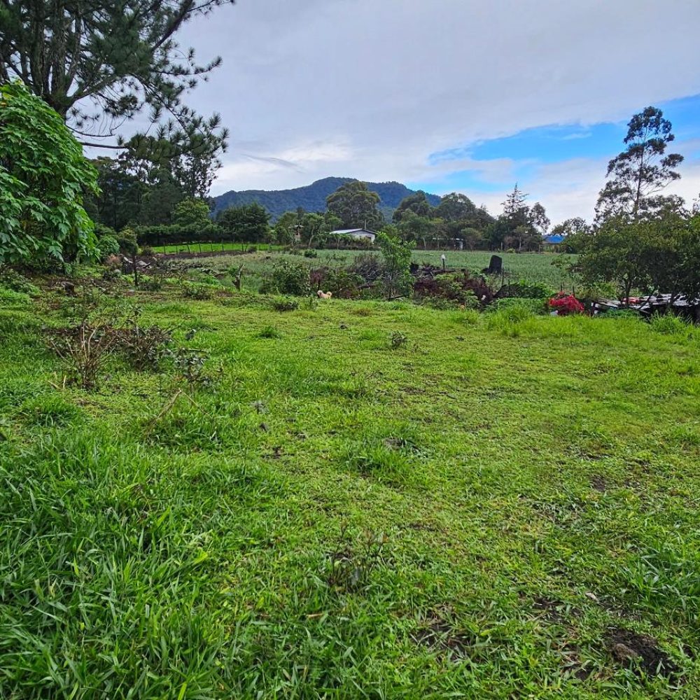 Terreno-En-Venta-Lote-Paso-Ancho-Volcan-Tierras-Altas-Chiriqui-Panama-8