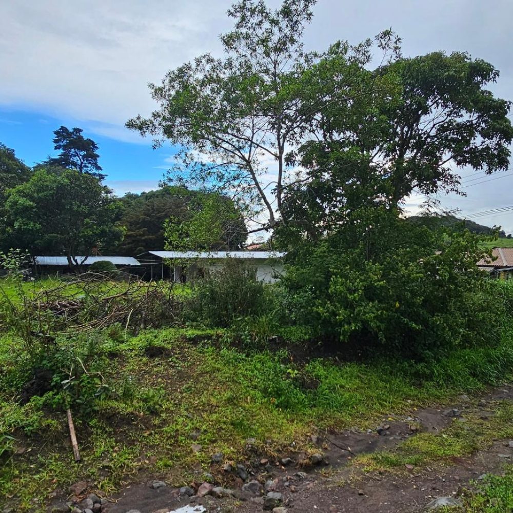 Terreno-En-Venta-Lote-Paso-Ancho-Volcan-Tierras-Altas-Chiriqui-Panama-9