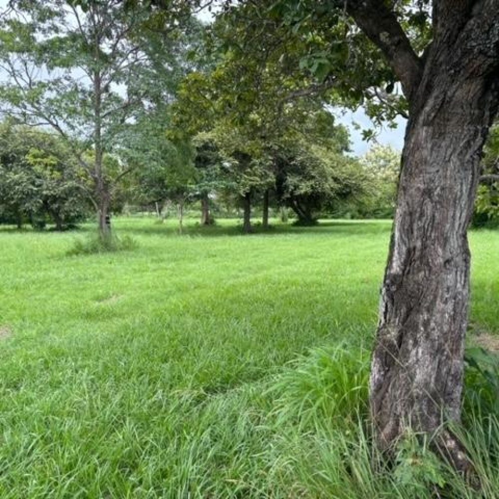 Terreno-En-Venta-Terreno-plano-en-venta-en-Coronado-Nueva-Gorgona-Panama-4