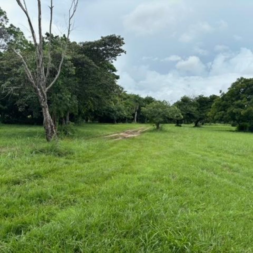 Terreno-En-Venta-Terreno-plano-en-venta-en-Coronado-Nueva-Gorgona-Panama-5