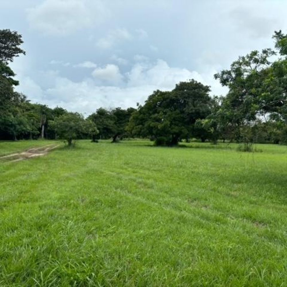 Terreno-En-Venta-Terreno-plano-en-venta-en-Coronado-Nueva-Gorgona-Panama-6