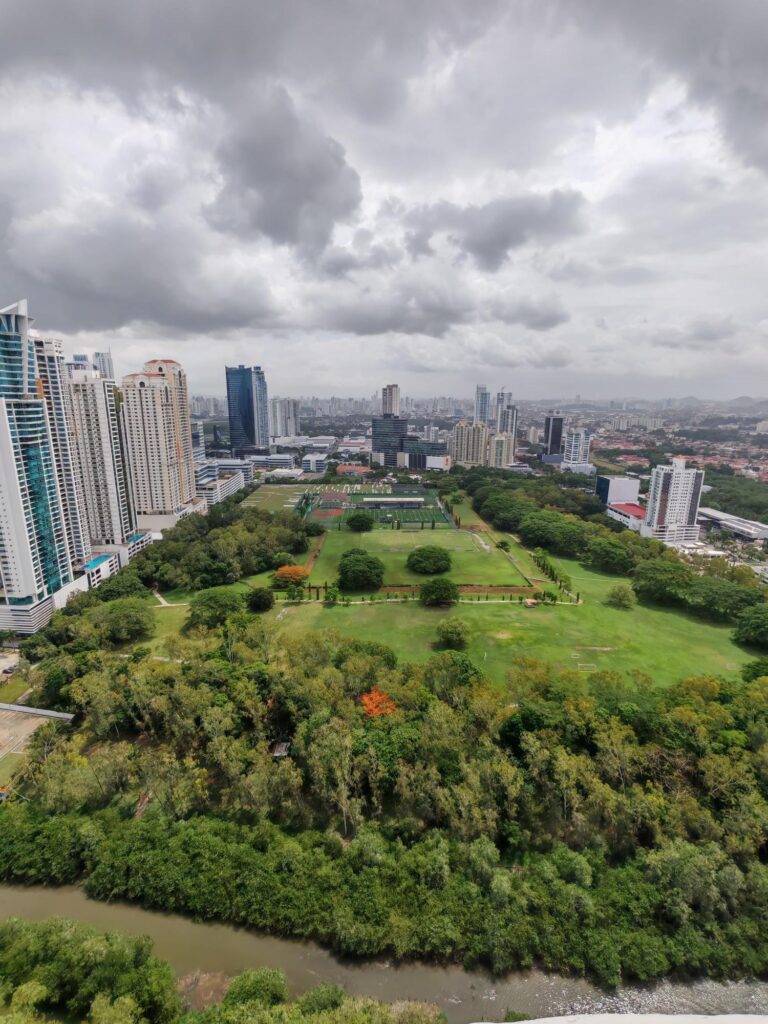 ARCADIA DEL ESTE