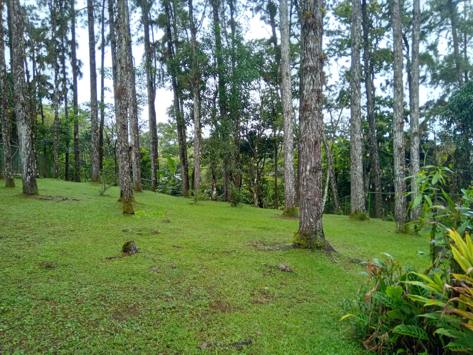 Panamá