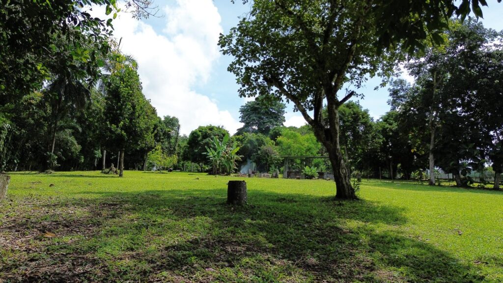 Panamá