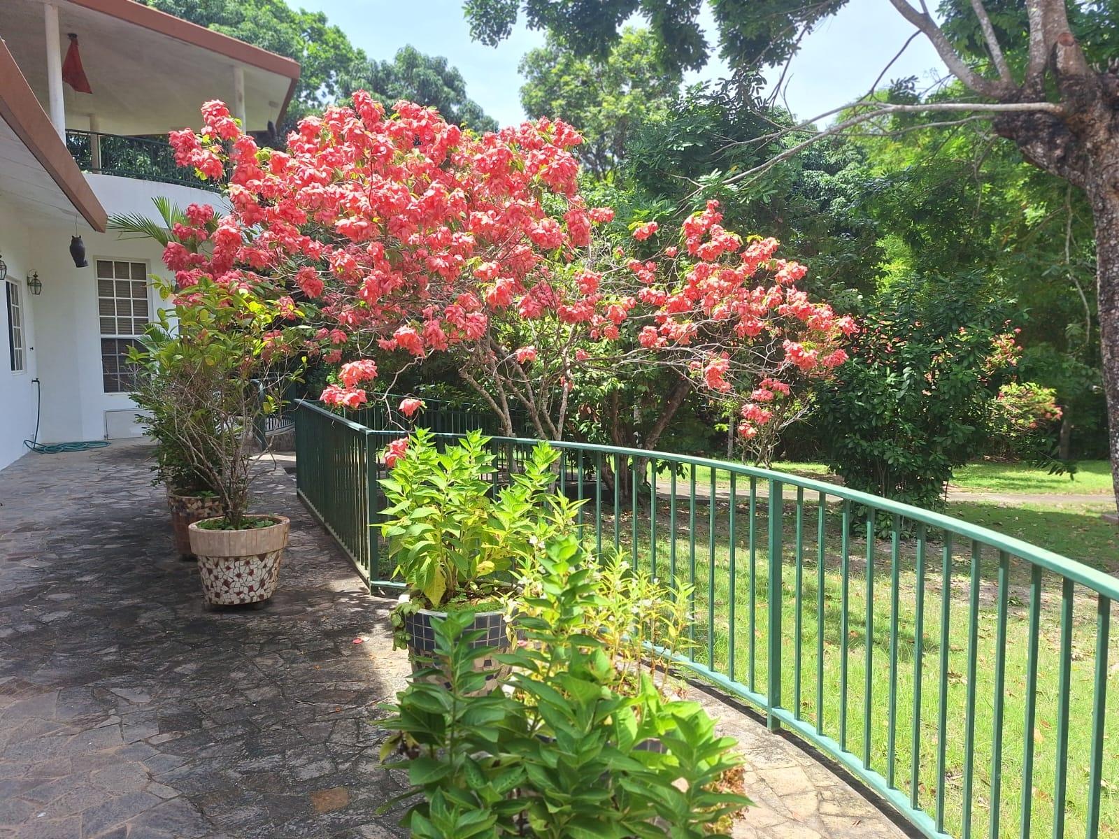 Panamá