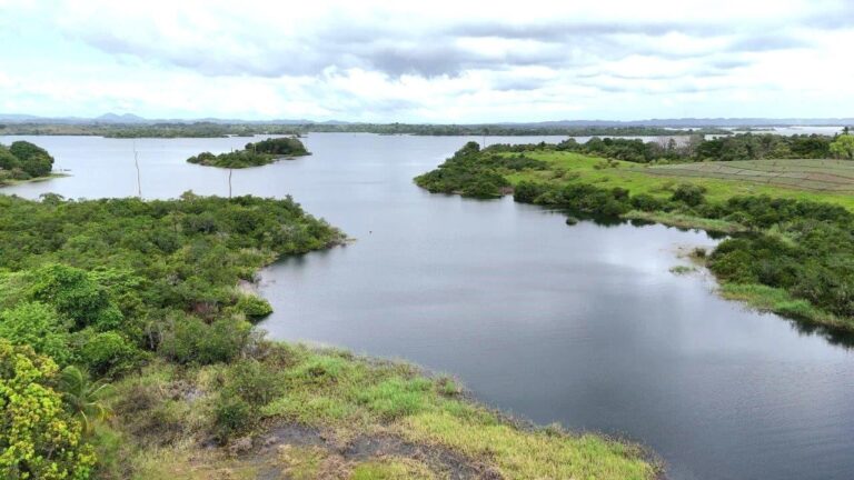 Arenosa Frente al Lago