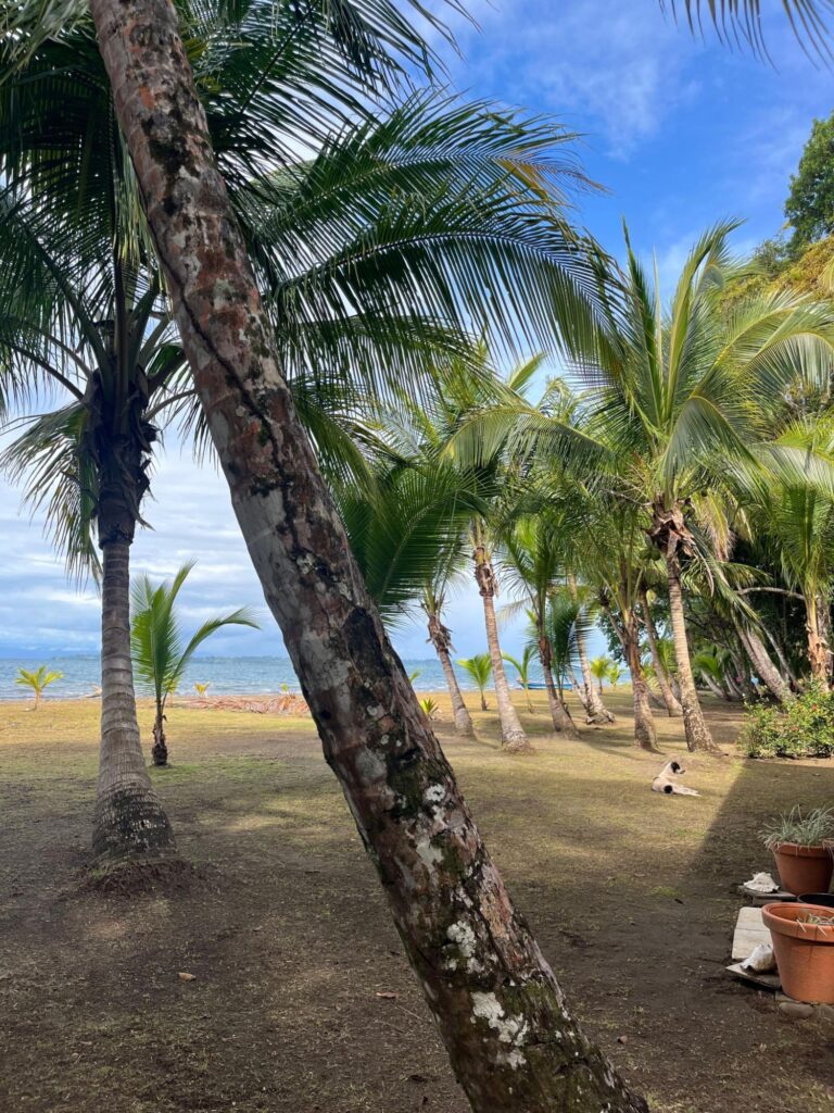 Bocas del Toro