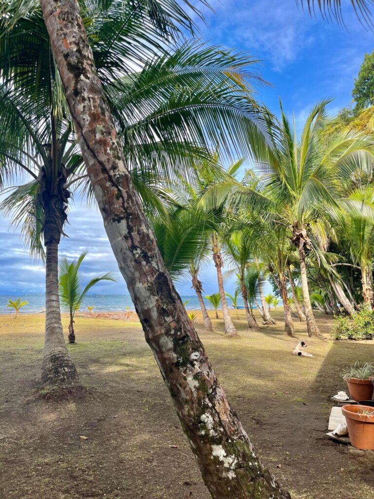 Panamá