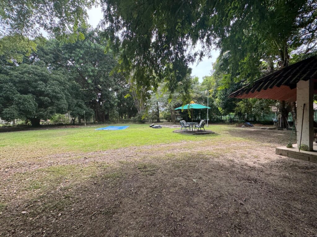 Santa Clara