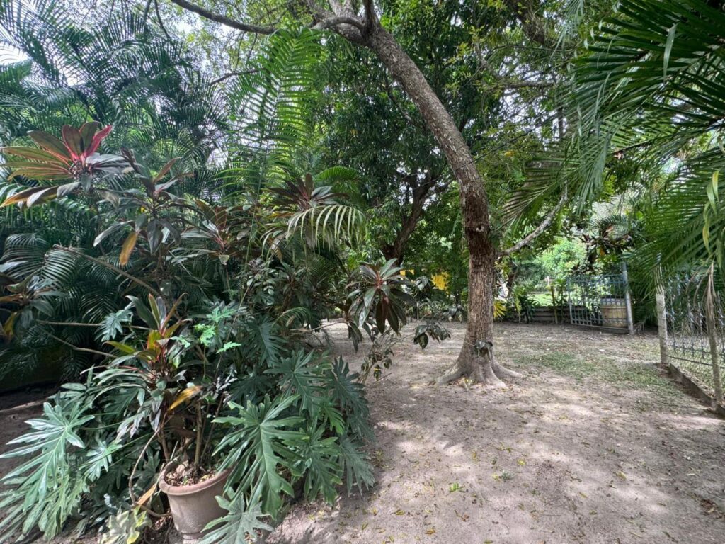 Coclé