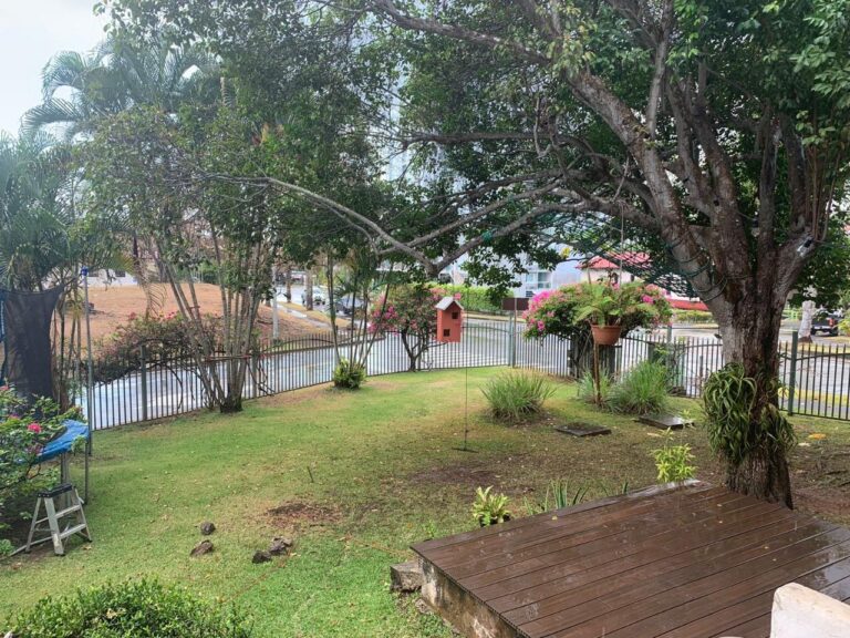 Albrook