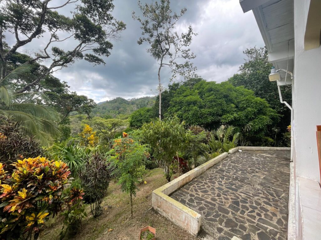 Penonomé