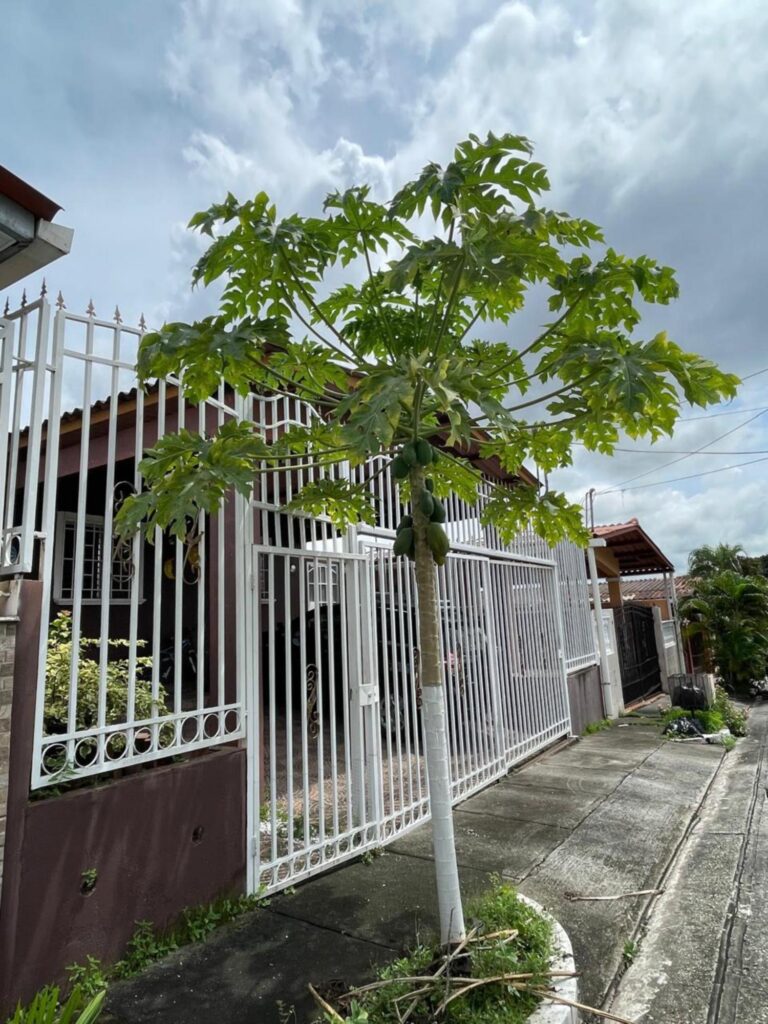 Casa en Venta en Villa Zaita Panama
