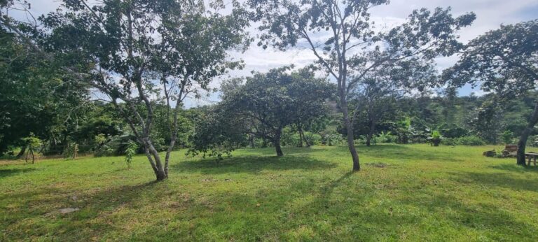 Country House and Farm Land in La Ermita