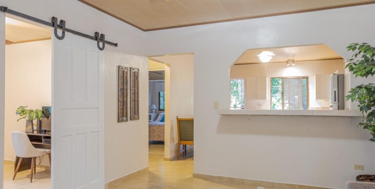 Duplex en Venta en Dolega